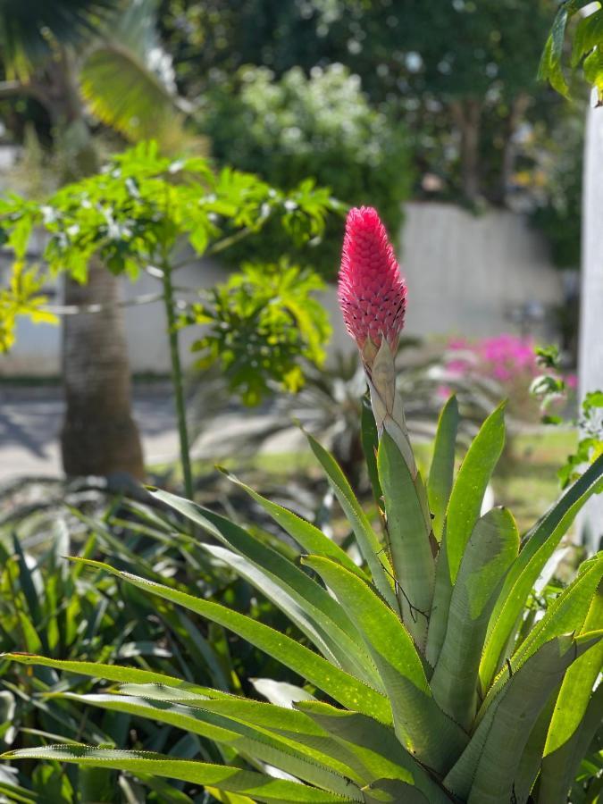 Buzios House Villa Luaran gambar